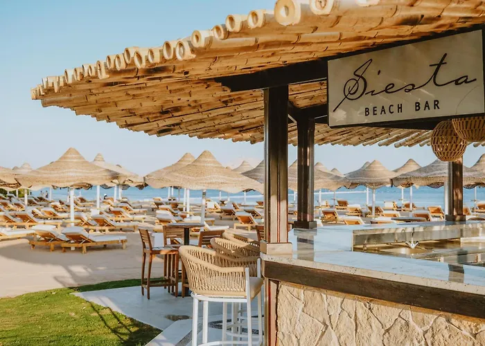 Resort Baron Palms Adults Friendly Only 16 Years Boutique Style
