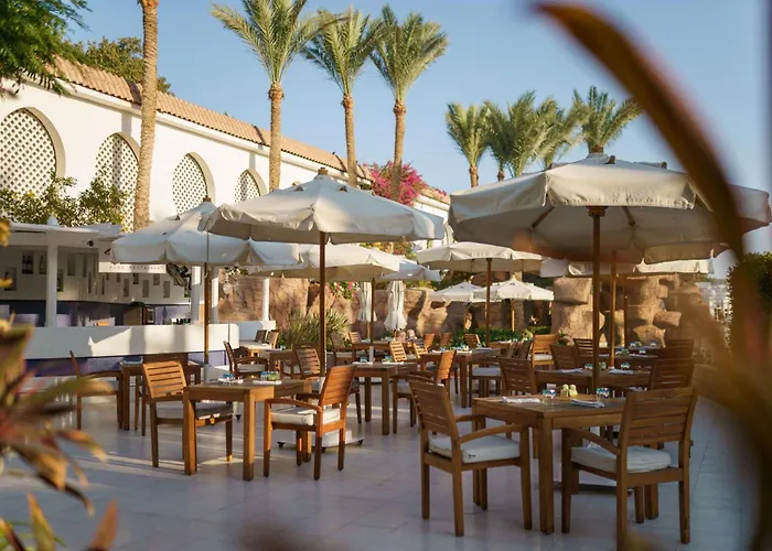 Baron Palms Adults Friendly Only 16 Years Boutique Style Resort