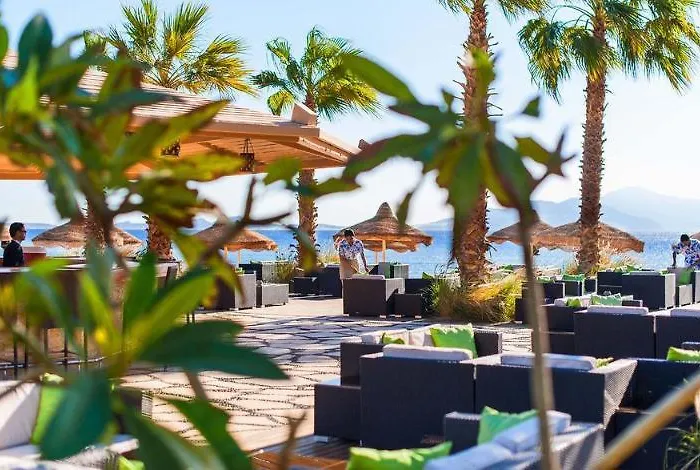 Resort Baron Palms Adults Friendly Only 16 Years Boutique Style